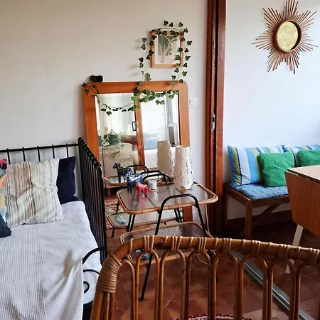 Grand Cosy Presqu'ile De Giens Proche Almanarre *
