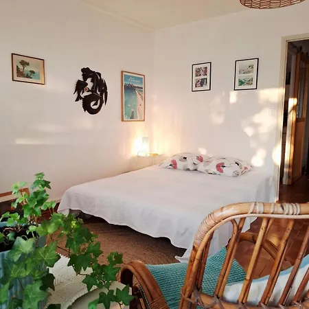 Grand Cosy Presqu'ile De Giens Proche Almanarre Apartment
