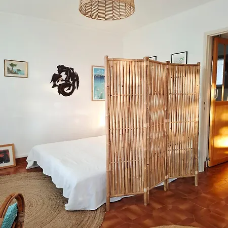 Grand Cosy Presqu'ile De Giens Proche Almanarre