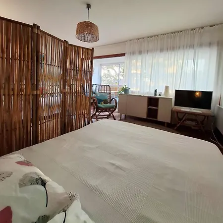 Grand Cosy Presqu'ile De Giens Proche Almanarre Apartment *