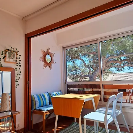 Apartment Grand Cosy Presqu'ile De Giens Proche Almanarre Hyères