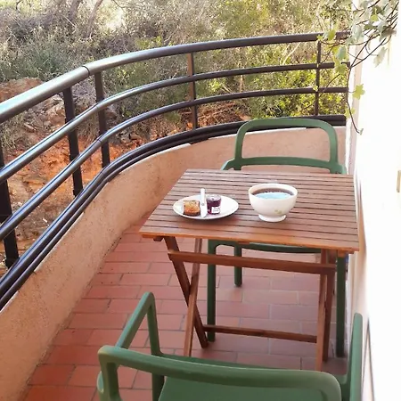 Grand Cosy Presqu'ile De Giens Proche Almanarre Apartment